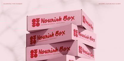 SLTF Midnight Chianti Font Poster 3