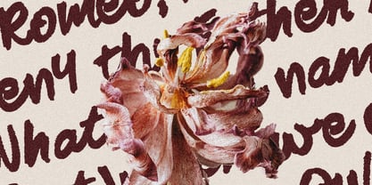 SLTF Midnight Chianti Font Poster 8