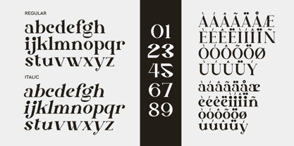 Neona Delima Font Poster 7