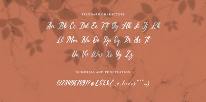 Savilista Font Poster 10