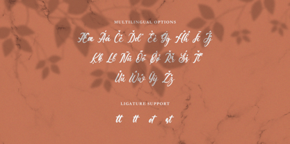 Savilista Font Poster 11