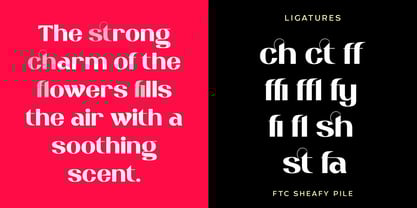 Sheafy Pile Font Poster 8