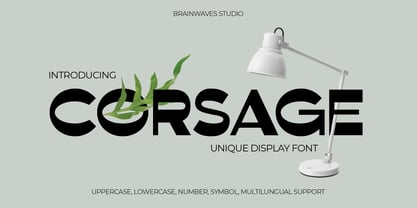 Corsage Sans Display Font Poster 1