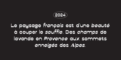 Corsage Sans Display Font Poster 3