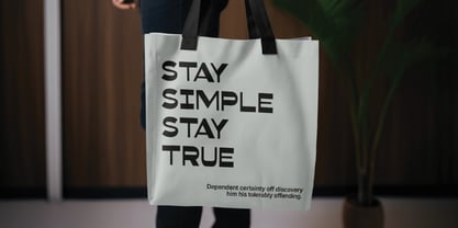 Corsage Sans Display Font Poster 9