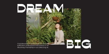 Corsage Sans Display Font Poster 6