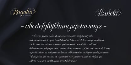 Brineta Font Poster 7
