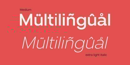 Venzia Sans Font Poster 10