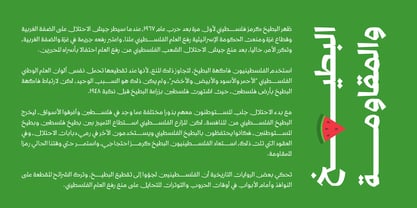 AS Batekh Font Poster 10