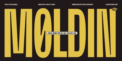 Moldin Font Poster 1