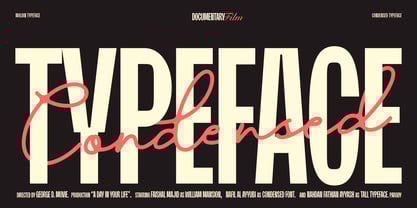 Moldin Font Poster 3