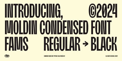 Moldin Font Poster 2