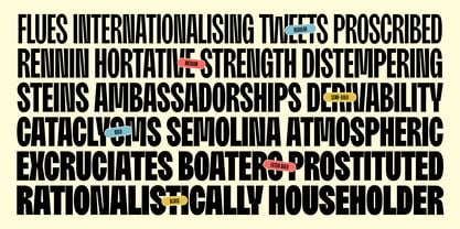 Moldin Font Poster 9