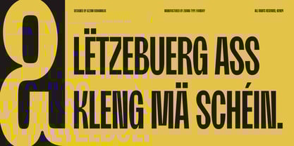 Moldin Font Poster 6