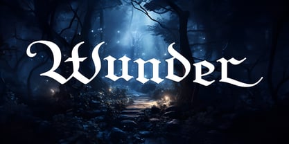 FDI Wunder Font Poster 1