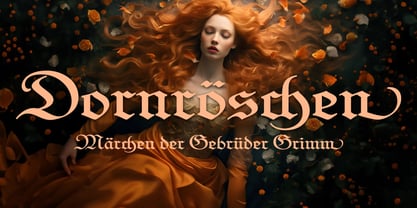 FDI Wunder Font Poster 6