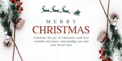 Fox Adonis Font Poster 3