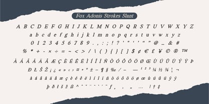 Fox Adonis Font Poster 12