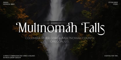 Regals Aurum Font Poster 3