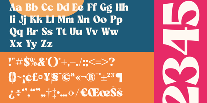 Briegal Font Poster 15