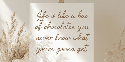 CF Celinara Haveen Font Poster 10