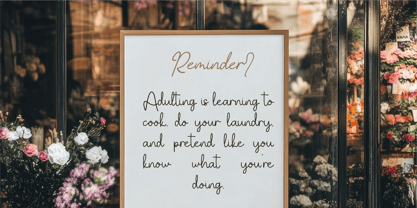 CF Celinara Haveen Font Poster 8