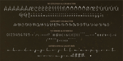 CF Celinara Haveen Font Poster 5