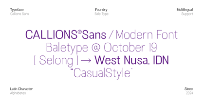 Callions Font Poster 8