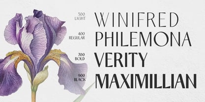 Neo Saphion Font Poster 2