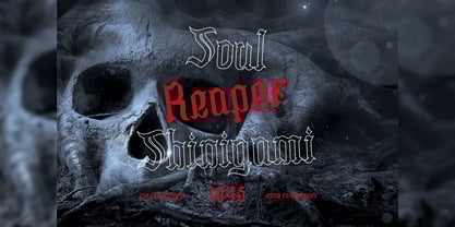 Javier Skull Font Poster 11