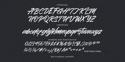 Jackman Font Poster 12