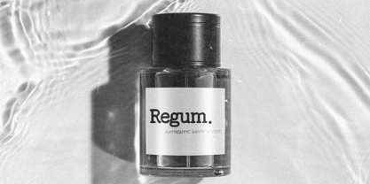 Feedbacker Typewriter Font Poster 3