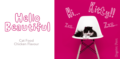 Hugsiot Neu Font Poster 7