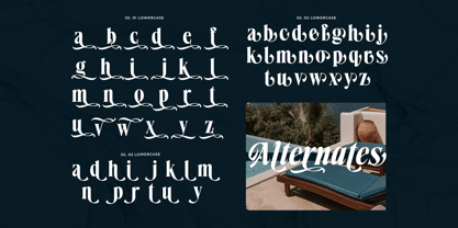 Demarun Font Poster 14