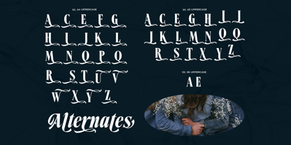 Demarun Font Poster 12