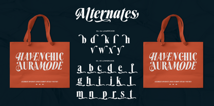 Demarun Font Poster 15