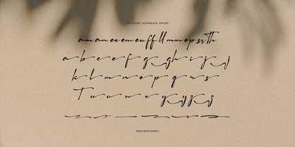 Flentha Bellyora Font Poster 13