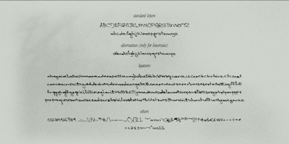 Casually Handwritten Font Poster 15