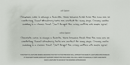 Casually Handwritten Font Poster 14