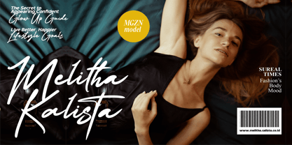 Kensington Setalise Font Poster 2