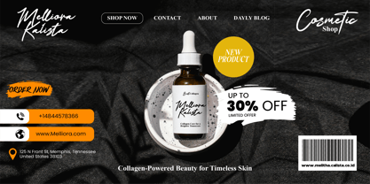 Kensington Setalise Font Poster 6