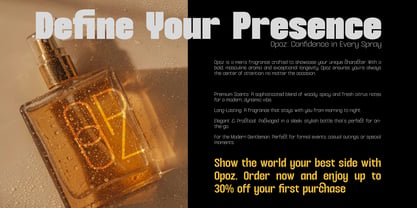 Aronsiki Font Poster 12