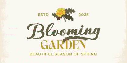 Valsiya Font Poster 2