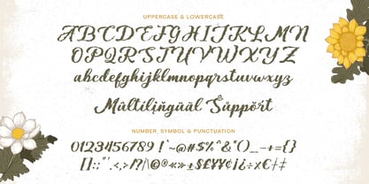 Valsiya Font Poster 5