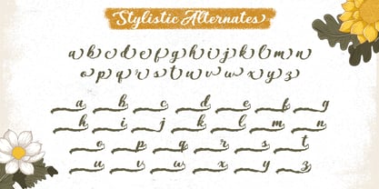 Valsiya Font Poster 6