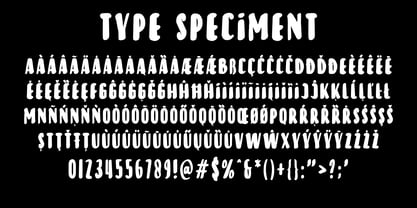 Pursuit Of Happiness Font Poster 15