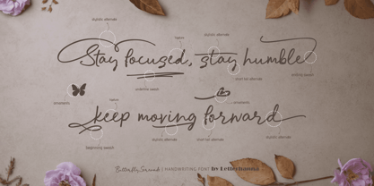 Butterfly Serenade Font Poster 2