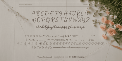 Butterfly Serenade Font Poster 7
