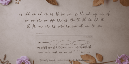 Butterfly Serenade Font Poster 12