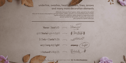 Butterfly Serenade Font Poster 11